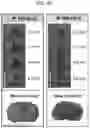 Fig. 13 - Neuroprotective peptides and methods of their use
