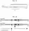 Fig. 15 - Neuroprotective peptides and methods of their use