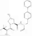 Fig. 313 - Macrocyclic compounds and methods of use thereof