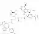 Fig. 507 - Macrocyclic compounds and methods of use thereof