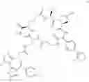 Fig. 509 - Macrocyclic compounds and methods of use thereof