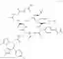 Fig. 516 - Macrocyclic compounds and methods of use thereof