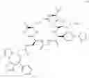 Fig. 519 - Macrocyclic compounds and methods of use thereof