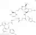 Fig. 528 - Macrocyclic compounds and methods of use thereof