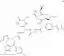 Fig. 533 - Macrocyclic compounds and methods of use thereof