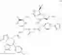 Fig. 534 - Macrocyclic compounds and methods of use thereof