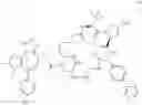 Fig. 543 - Macrocyclic compounds and methods of use thereof