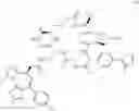 Fig. 558 - Macrocyclic compounds and methods of use thereof