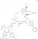 Fig. 561 - Macrocyclic compounds and methods of use thereof