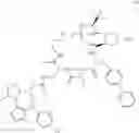 Fig. 565 - Macrocyclic compounds and methods of use thereof