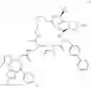 Fig. 566 - Macrocyclic compounds and methods of use thereof