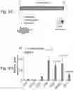 Fig. 03 - Methods of treatment comprising Selenoprotein P fragment-containing compounds