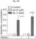 Fig. 11 - Methods of treatment comprising Selenoprotein P fragment-containing compounds