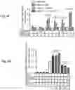 Fig. 17 - Methods of treatment comprising Selenoprotein P fragment-containing compounds