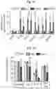 Fig. 20 - Methods of treatment comprising Selenoprotein P fragment-containing compounds