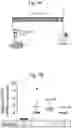 Fig. 22 - Methods of treatment comprising Selenoprotein P fragment-containing compounds