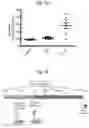 Fig. 24 - Methods of treatment comprising Selenoprotein P fragment-containing compounds