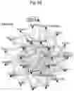 Fig. 33 - Methods of treatment comprising Selenoprotein P fragment-containing compounds