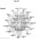Fig. 34 - Methods of treatment comprising Selenoprotein P fragment-containing compounds