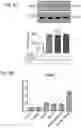 Fig. 38 - Methods of treatment comprising Selenoprotein P fragment-containing compounds