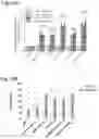 Fig. 41 - Methods of treatment comprising Selenoprotein P fragment-containing compounds