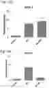 Fig. 43 - Methods of treatment comprising Selenoprotein P fragment-containing compounds