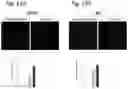 Fig. 44 - Methods of treatment comprising Selenoprotein P fragment-containing compounds