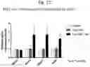 Fig. 60 - Methods of treatment comprising Selenoprotein P fragment-containing compounds