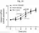 Fig. 64 - Methods of treatment comprising Selenoprotein P fragment-containing compounds