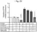 Fig. 68 - Methods of treatment comprising Selenoprotein P fragment-containing compounds
