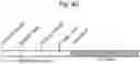 Fig. 73 - Methods of treatment comprising Selenoprotein P fragment-containing compounds