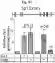 Fig. 78 - Methods of treatment comprising Selenoprotein P fragment-containing compounds