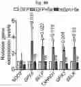 Fig. 79 - Methods of treatment comprising Selenoprotein P fragment-containing compounds