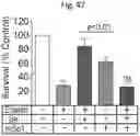 Fig. 80 - Methods of treatment comprising Selenoprotein P fragment-containing compounds