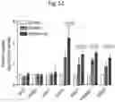 Fig. 84 - Methods of treatment comprising Selenoprotein P fragment-containing compounds