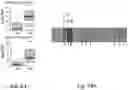 Fig. 87 - Methods of treatment comprising Selenoprotein P fragment-containing compounds