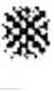 Fig. 02 - COMPLEXES OF CYTOMEGALOVIRUS PROTEINS