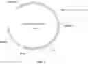 Fig. 03 - COMPLEXES OF CYTOMEGALOVIRUS PROTEINS
