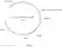 Fig. 04 - COMPLEXES OF CYTOMEGALOVIRUS PROTEINS