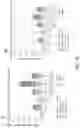 Fig. 16 - COMPLEXES OF CYTOMEGALOVIRUS PROTEINS