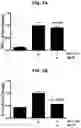 Fig. 03 - PROTEINS FOR THE TREATMENT OF EPITHELIAL BARRIER FUNCTION DISORDERS
