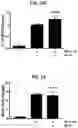 Fig. 10 - PROTEINS FOR THE TREATMENT OF EPITHELIAL BARRIER FUNCTION DISORDERS