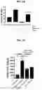 Fig. 11 - PROTEINS FOR THE TREATMENT OF EPITHELIAL BARRIER FUNCTION DISORDERS