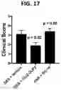 Fig. 13 - PROTEINS FOR THE TREATMENT OF EPITHELIAL BARRIER FUNCTION DISORDERS
