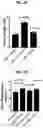 Fig. 14 - PROTEINS FOR THE TREATMENT OF EPITHELIAL BARRIER FUNCTION DISORDERS