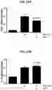 Fig. 16 - PROTEINS FOR THE TREATMENT OF EPITHELIAL BARRIER FUNCTION DISORDERS