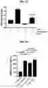 Fig. 18 - PROTEINS FOR THE TREATMENT OF EPITHELIAL BARRIER FUNCTION DISORDERS