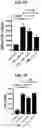 Fig. 25 - PROTEINS FOR THE TREATMENT OF EPITHELIAL BARRIER FUNCTION DISORDERS