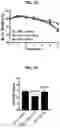 Fig. 26 - PROTEINS FOR THE TREATMENT OF EPITHELIAL BARRIER FUNCTION DISORDERS