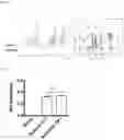 Fig. 04 - PREPARATION AND USE OF GINSENTIDES AND GINSENTIDE-LIKE PEPTIDES